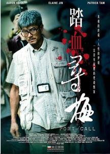 踏血寻梅在线观看,探寻爱情与复仇的悲怆之旅  第3张