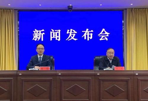 阜阳爆料临泉新闻视频,揭秘最新爆料视频背后的真相  第2张